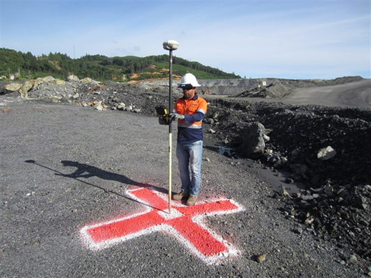 Quick Drying Marking Spray Paint High Visibility Survey for Line Marker